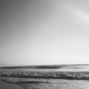 Pet Sitting em Vila Real, Portugal 