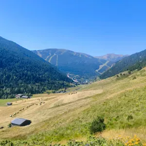 Canguro en Zaragoza (paseos, juegos, comidas...)