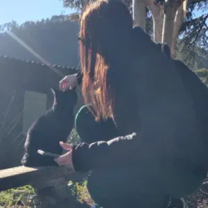 Baby sitter disponible