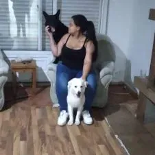 Pesquise um(a) cuidador de outros animais em Horta