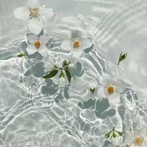 Job offer for a housekeeper in Rennes