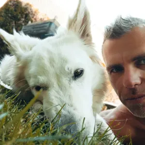 promenade de chien ou visite à domicile