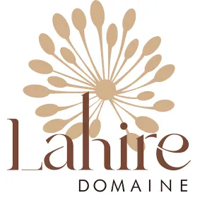 Emploi de dame de compagnie à Bayonne
