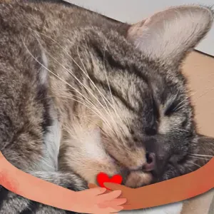 recherche petsitter prés de chez moi