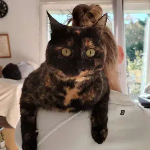 Pet-Sitter peut-être à côté de chez vous