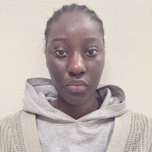 Baby-sitter expérimenté (Île de France)