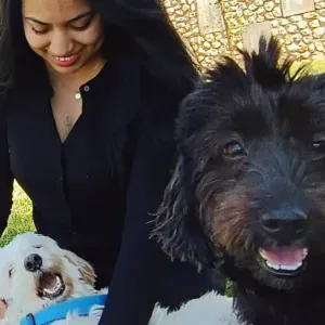 Procuro um petsitter perto de mim