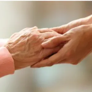 Nourrice pour chats ou lapins