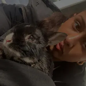 Pet-sitter à Chatenay Malabry 