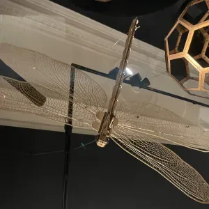 Addetta alle pulizie, stiratura e sistemazione della casa 