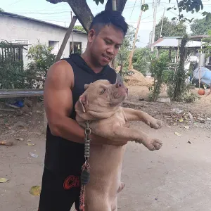 Dog breeder in the Philippines 