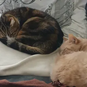 garde enfants si il y a besoin en express a mon domicile