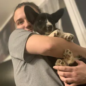 Aide aux devoirs et cours de soutien Collège et Primaire