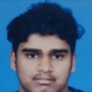 looking for a Maths tutor