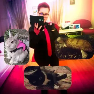 Garde petits animaux à domicile