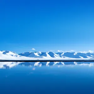 Pet-sitter à pfaffenheim, habitué au chat et aux chiens ! 