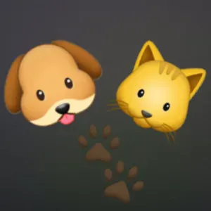 Pet siter a limoges et alentour 