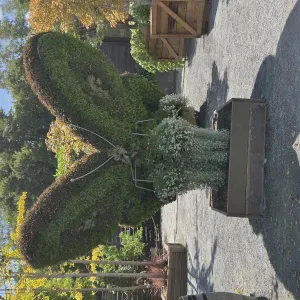 Plus qu'une aide, je suis votre partenaire bien être. 