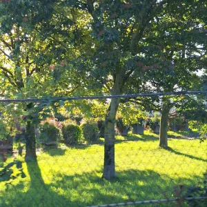 Aider à domicile a Paris ou bien à clichy 