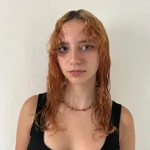 Aide - ménagère sérieuse Limoges !