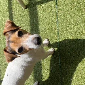 À la recherche de la perle rare 