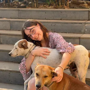 Petsitter passionnée d'animaux, dispo près de Calais !