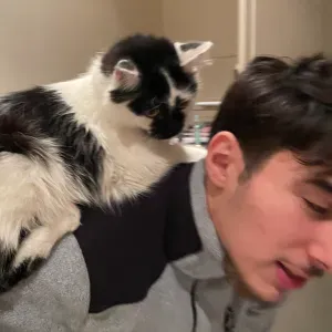 Pet sitter fiable et passionné