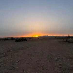 Cuidador de animales en las palmas 