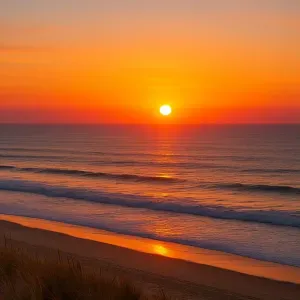 pet sitter a gournay sur marne 