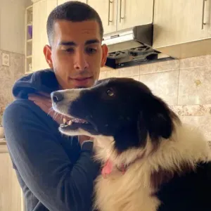 Garde ou promenade d'animaux à Pétange