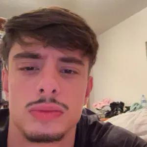 Promenade et garde d'animaux Week-end & soirées