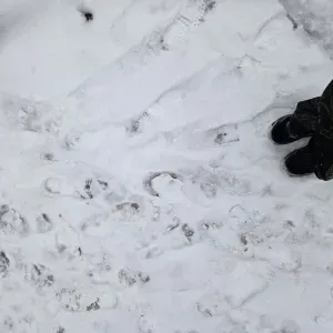 Jeune étudiante en bac+5 informatique 