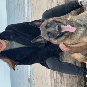 Pet-sitter de confiance pour vos animaux à Juvignac