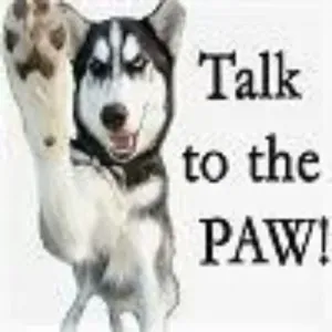 Babysitter iniciante em Lisboa ✧