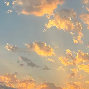 Pet e dog sitting  a Cagliari 