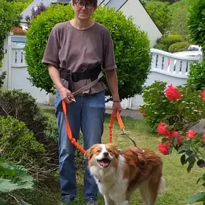 Gard'Animos 29 dans la Pays Fouesnantais 