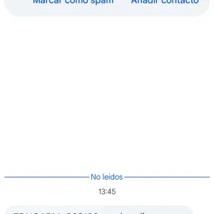 Canguro en Molina de Segura, paciencia y buenos cuidados