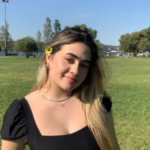 Babysitter Avenidas Novas 