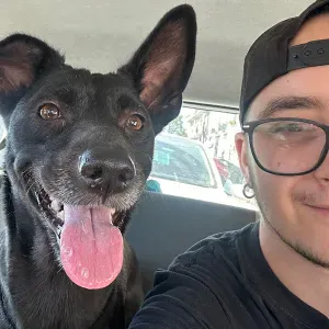 Pet sitter affidabile a Napoli 🐾