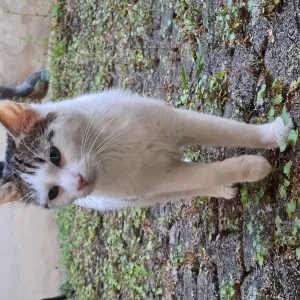 Une nouvelle Pet-Sitter sur Dijon ^^