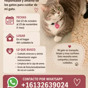 Looking for a cat sitter