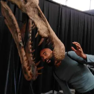 Pet sitter à Toulouse dans un T2.