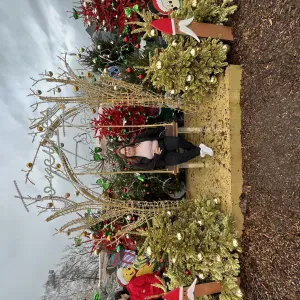 Femme de ménage responsable à Fourmies 