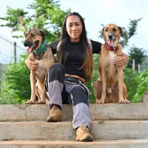 Pet- sitter qualifié à l'union (Toulouse)