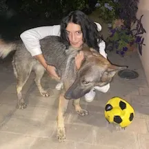 Pet sitting a Reggio Emilia. Amo gli animali 