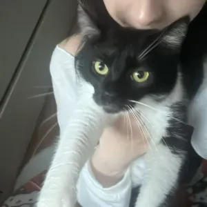 native english speaker with biology and english diploma 