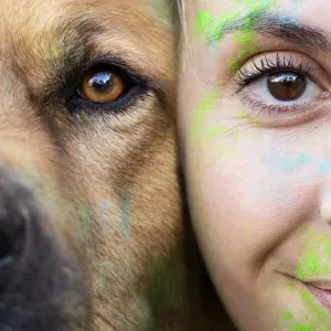 Pet-sitter la chapelle de surieu 