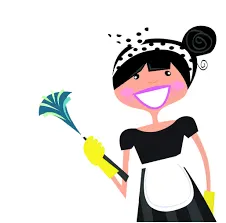 Ménage,repassage Hennebont,Lanester