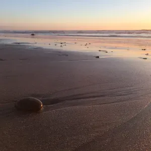 Empregada doméstica para contratar