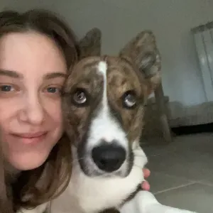 Amo i cani e offro pet sitting a Massa